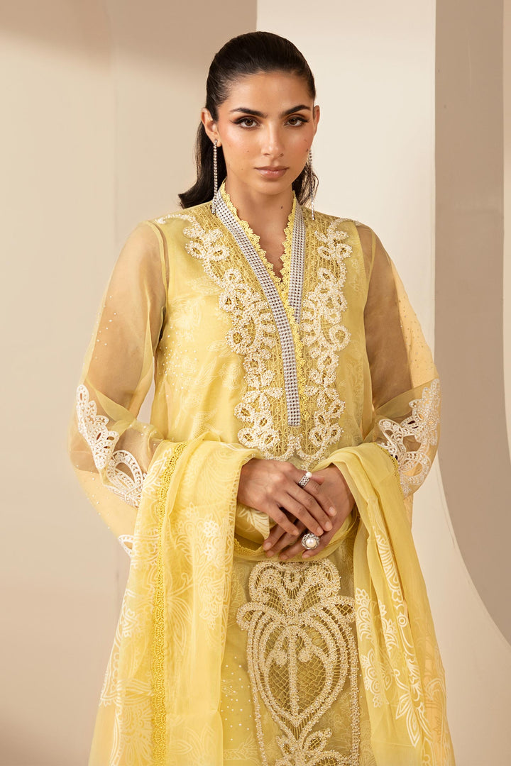 3 Piece Embroidered Organza Suit Eid Collection DS2604A-SML-00A